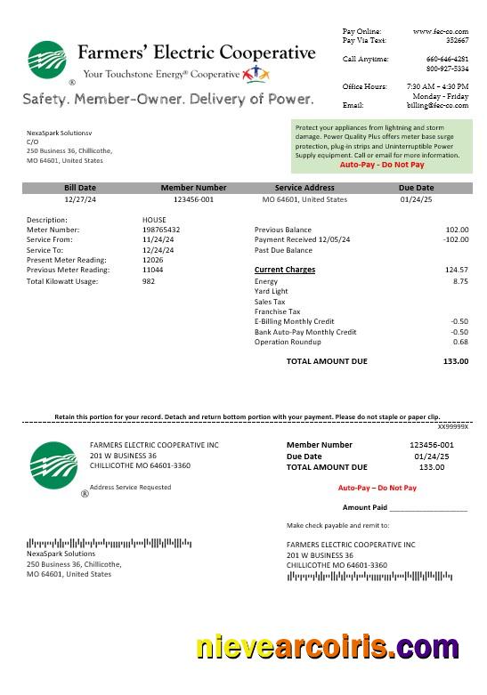 USA Ohio Farmer’s Electric Cooperative business utility bill